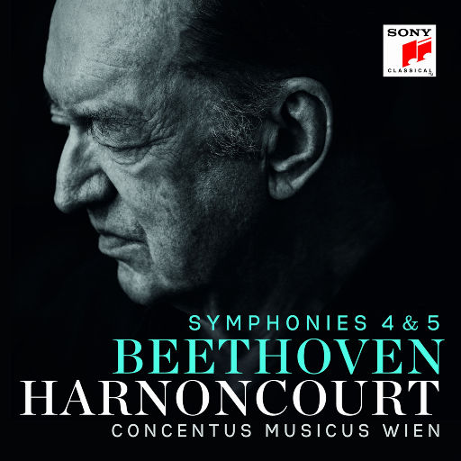 男人和女人一起尻屄
